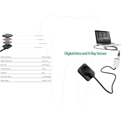 Dental X-ray Sensor Digital Intraoral X Ray Imaging System USB 2.0 Connection Cable Workstation Software Protective Sheath