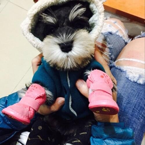 Warm Pet Dog Cat Winter Shoes For Dogs Non-slip Dog Snow Boots Chihuahua Shih Tzu Shoe Zapatos Perro