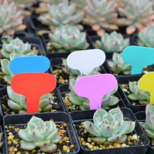 100PCS Tags Gardening Plant T Shape Waterproof Tags Flowers Vegetable Planting Label Tools Garden Tray Lids Garden Tool Supplies