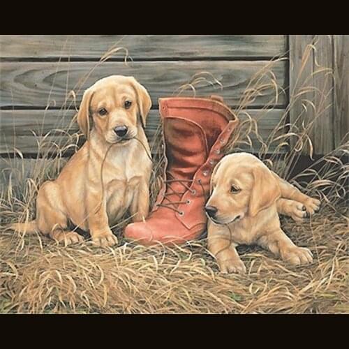 DIY Painting By Numbers Dog Animal Kit Picture By Numbers 40x50cm Acrylic Paintings On Canvas Home Decoration Gift Wall Art