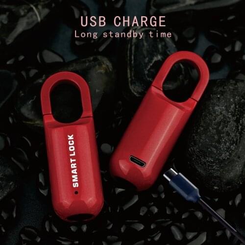 Mini Fingerprint Padlock Smart Electronic Door Lock USB Recharge Keyless Wireless Padlock Bag Luggage Bike Alarm Door Lock