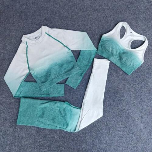 Ombre Women Yoga Set Sports Bra Seamless Leggings Gym Clothes Workout Fitness Sportswear Sports Suit Long Sleeve Shirts Running