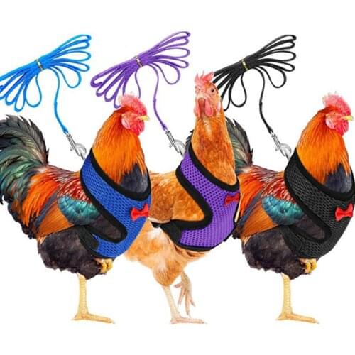 Туристические жилеты PlumHOME China At AliExpress