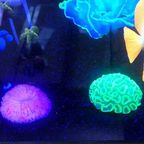 Underwater Plant Decoration Aquarium Artificial Aquarium Fake Coral Sawgrass Auxiliary Landscape Ornament Plant New