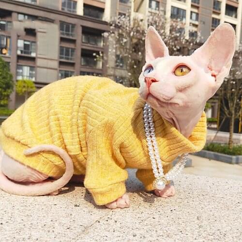 Cat Clothes For Sphinx Warm Hairless Cats Sweater Small Dogs Kittens Costume Autumn Puppy Clothing Chihuahua Doven Rex Suit