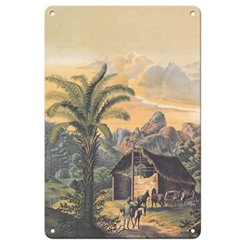African Oil Palm (Elaeis Guineensis) - Organ Mountains, Brazil Metal Tin Sign