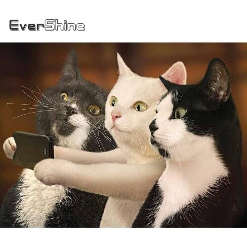 Evershine Diamond Mosaic Cat Picture Of Rhinestone Diamond Embroidery Animal Cross Stitch Kits Mosaic DIY Decor For Home