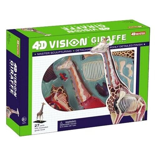 Animal Model Giraffe Anatomical Assembling Model Puzzle Assembled education Toys