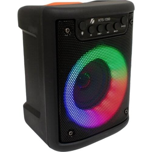 SOUZASYW Portable Speakers
