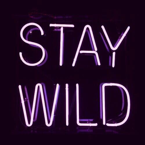 14“x10" Stay Wild Purple Acrylic Custom Neon Light Lamp Sign Beer Bar Handmade Real Glass Decorate Home Wall Room Windows Tube