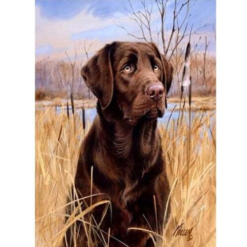 5D DIY Diamond Painting Dog Diamond mosaic embroidery Cross Stitch Lovely Labrador Dog Animal Needlework Home Decorative L550