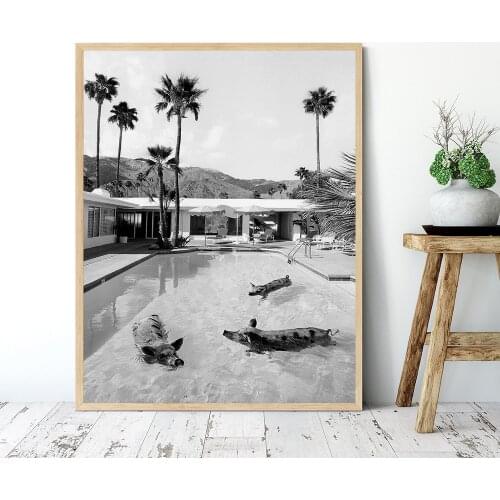 Pigs In Pool Palm Springs Poster Black and White Canvas Painting Photography Mid Century Vintage Wall Art Living Room Home Decor