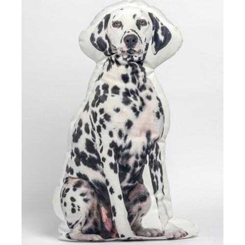 Печать Cushions