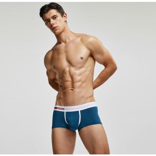 Mens Cotton Underwear Fashion Solid Color Wing Printing Low Waist Soft Elastic Breathable Homme Calzoncillos Mens Boxers Briefs