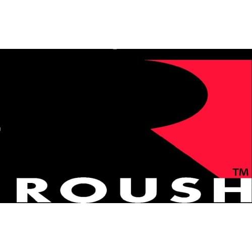 90*150cm roush flag