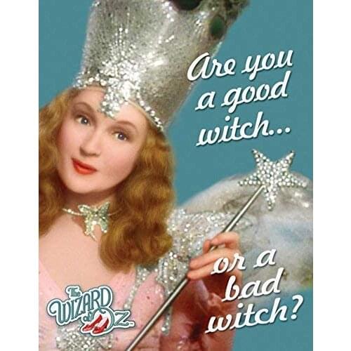 Unoopler Glinda are You a Good Witch or a Bad Witch? Tin Sign 8X12in