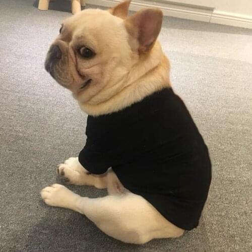 Pure Cotton Dog Summer T-shirt Corgi Vest Pet Clothes Small Dogs French Bulldog Clothing Dog Pug Costume Dropshipping LYC16