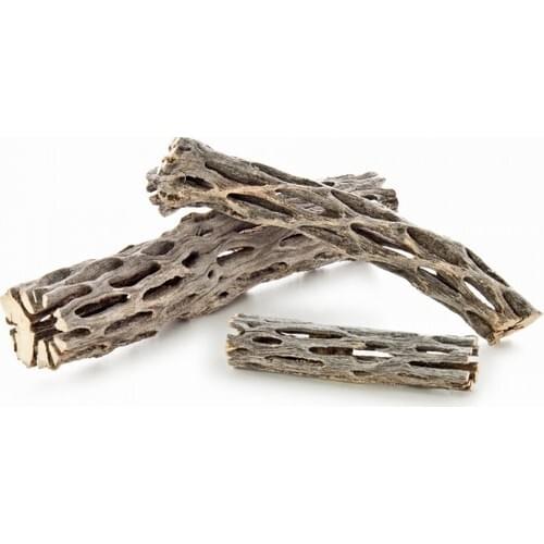 Decor Cholla Wood Aquarium Decor