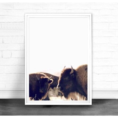 Buffalo Canvas Art Print and Poster , Animal Bison Canvas Painting Wall Picture Highland Cow Photography Prints Home Decor