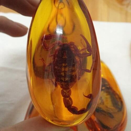 Wholesale natural mineral magic true insect amber fashion decorative specimen healing.Randomly send