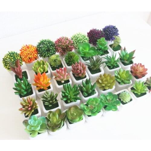 New Diverse Miniature Succulents Simulation Bonsai Plant Set DIY Plastic Fake Flower Craft Decor Ornament Garden Home Delicate