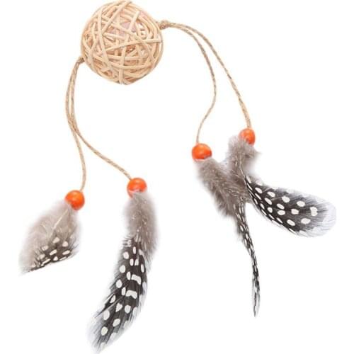 Cat Kitten Toy Catnip Molar Toy Cats Chew Sticks With Feather Dental Health Clean Cat Teeth And Remove Cat Tartar Pet Toys