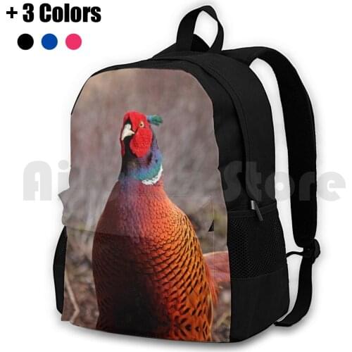 A Very Pleasant Pheasant Outdoor Hiking Backpack Riding Climbing Sports Bag Pheasant Bird British Wildlife Game Bird Feathers