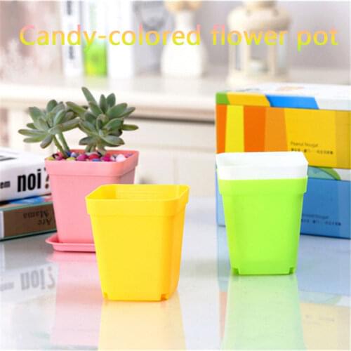 7 Colors Thicken Flower Pots Planters Pot Trays Plastic Pots Creative Small Square Pots For Succulent Plants Random Color