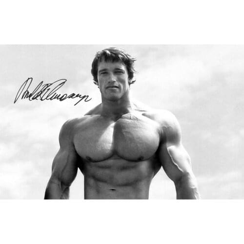 Arnold Schwarzenegger Signed Photo Art Film Print Silk Poster for Your Home Wall Decor 24x36inch