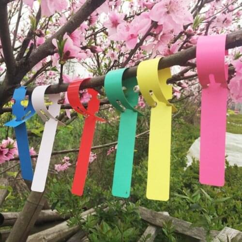 100 Pcs Plant Labels Waterproof Long Strip Tags Botanical Garden Green Plants Labels Nursery Tags Flowers Differentiated
