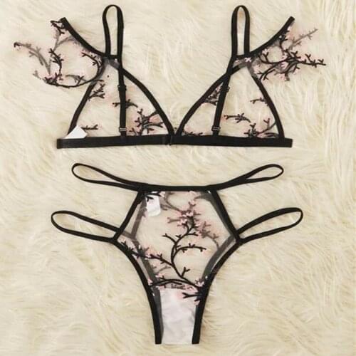 2PCS Erotic Lingerie womens underwear Sexy Mesh Embroidered Bra Deep V Underwear dress Panties Bra