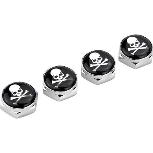 Skull Logo Styling Metal License Plate Screw Fitting Badge For Audi A3 Q5 Citroen C4 C5 Dacia Infiniti FX35 Volvo XC90 SEAT Leon