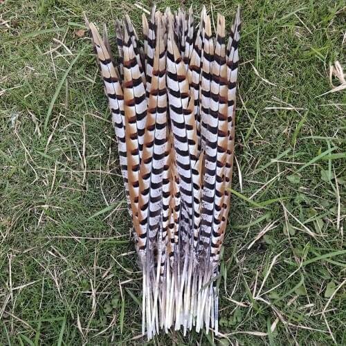 Wholesale 10pcs Beautiful 20-22inch/50-55cm natural copper chicken feathers stage performances decoration