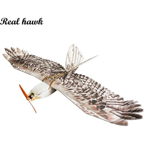 DW Hobby Foam Glider RC Plane EPP Biomimetic Mini Eagle Model Aircraft Wingspan 1200mm Slow Flyer Airplane Trainer for Beginners