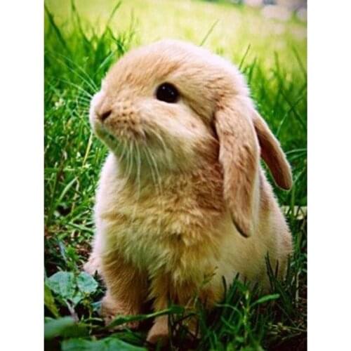 Siimoon Diy Diamond Painting Full Square Round Cross Stitch Diamond Embroidery Cute Rabbit Wall Art Decoration For Living Room