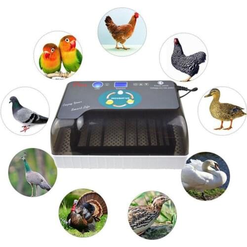 Automatic Digital 12 Eggs Incubator Hatcher Large Capacity Practical Incubators For Chicken Poultry Quail Eggs Home Use HOT SALE