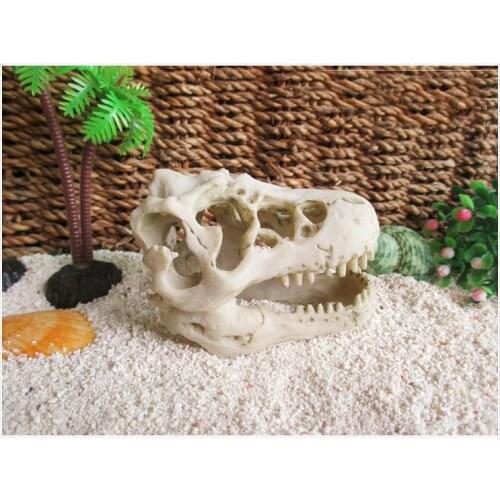 Dinosaur skull and coconut tree hermit crab terrarium decoration amphibious small crawling pet aquarium fish tank