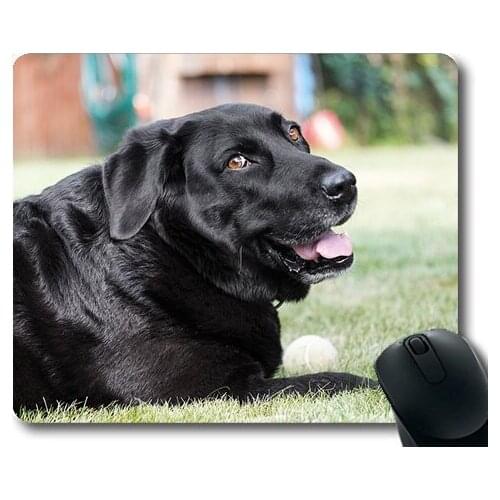 Dogs pets garden Mouse Pads ,Labrador Dog Pet Black Laugh Laughs Happy,dogs mouse mat