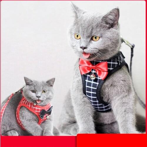 Small Dog Harness and Leash Set Pet Cat Vest Harness With Bowknot Mesh Padded For Small Puppy Dogs Chihuahua Yorkies Pug