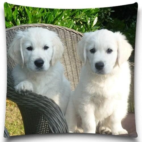 Golden Retriever set cushion cover Animal Christmas Halloween gift cute dogs pillow case decorative cushion cover
