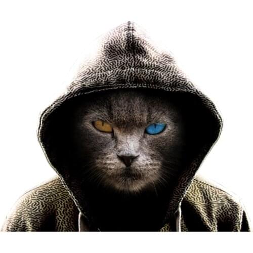 Clothing Patches Cool Cat Pattern Iron On Patches Thermal Transfer Printing DIY Stickers for Clothes Fashion Style Decoration