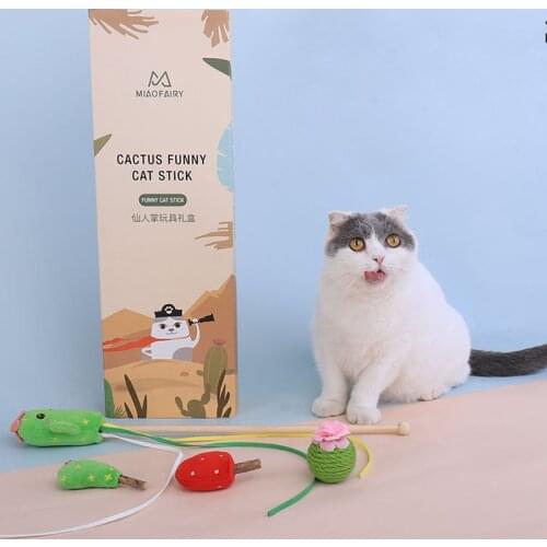 Cat Teaser Suit Cactus Flannel Toys Sisal Grinding Claw Rod Inspire Curiosity Health Multiple Desert Cactus Funny Cat Gift Box
