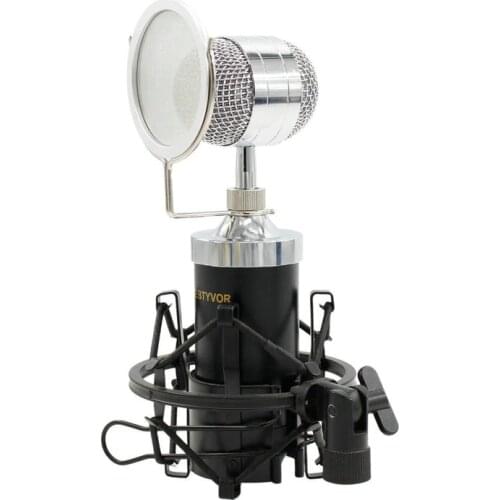 Professional BM-8000 Sound Studio Recording Condenser Microphone with 3.5mm jack Stand Holder for Personal Audio Recording KTV