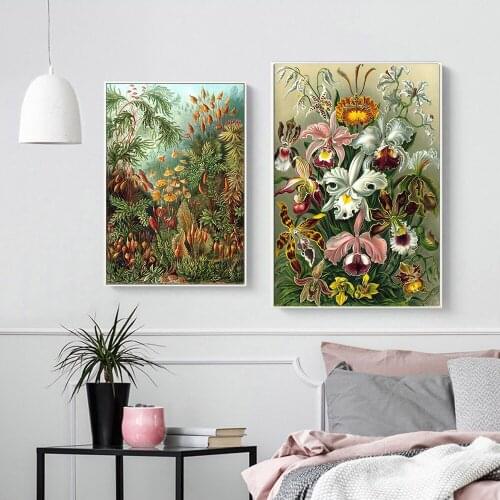 Ernst Haeckel (Ernst Haeckel) fleur affiche peinture plante impression décorative impression murale scandinave décoration photo