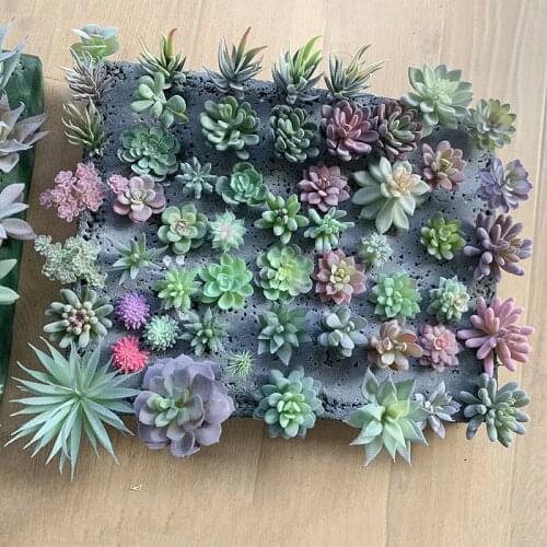 12pcs/set Artificial Succulents Fake Faux Flowers Mini PVC Simulated Floral Plants Craft Home Office Decor Hot