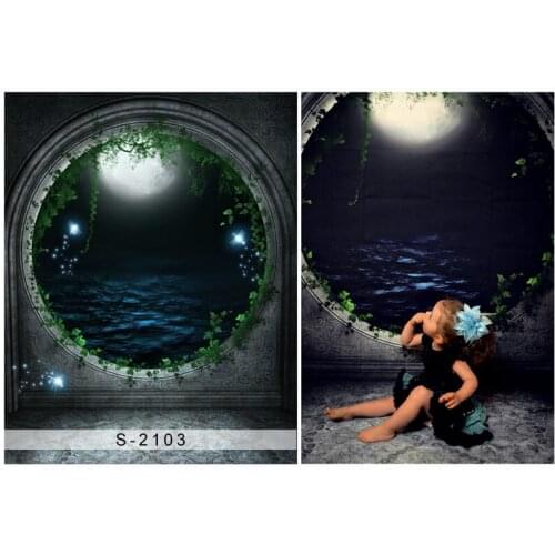 Round stone door photo backgrounds vinyl fotografia fairyland moon photography backdrop for photo studio props photophone S-2103