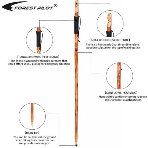 FOREST PILOT Wooden Walking Cane WOODEN HIKING STICK for Men and Women Handcrafted of Hardwood, Nature Color, 118CM