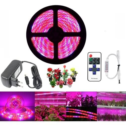 20M 15M 10M 5M Plant LED Grow Light 4:1 Full LED Spectrum Grow Light Strip SMD DC 12V LED Phyto Tape for Flowers Greenhouses