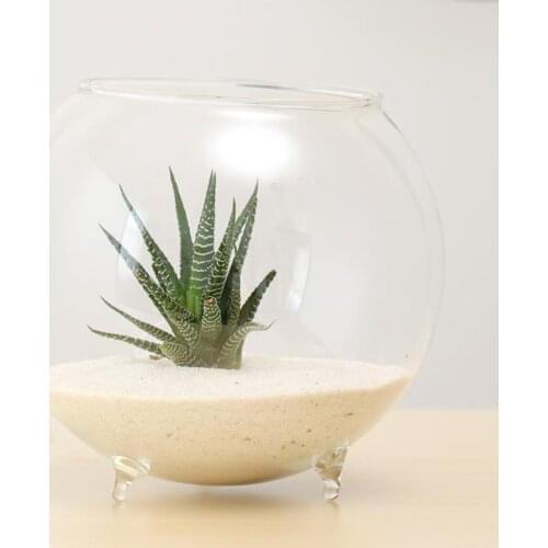 1x Tabletop Flower Vase DIY Plants Hydroponic Pot Holder Fish Tank Ornament