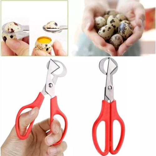 2pcs Cracker Quail Egg Cutter Pigeon Eggs Opener Kitchen Scissor Bird Tool Stainless Steel Blade Clipper Ciga